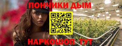 дурь Камышлов