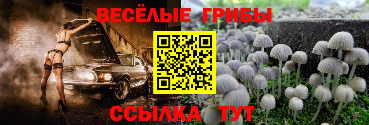 Псилоцибиновые грибы ЛСД Кострома